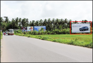 image_2406518-300x205